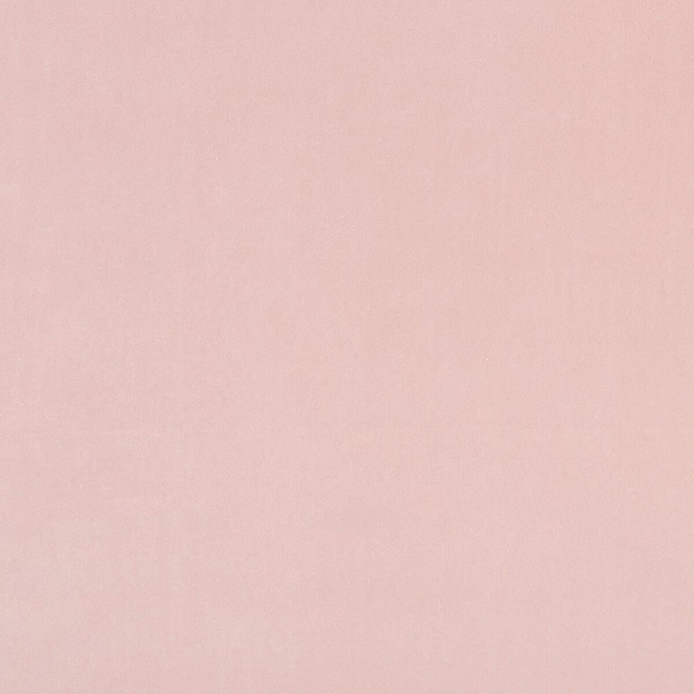 Alvar Petal by Clarke And Clarke Fabric CLARKE & CLARKE ALVAR 2 POLYESTER - 100% China HEAVY Horizontal: 0 and Vertical: 0 56.75 - Fabric Carolina -