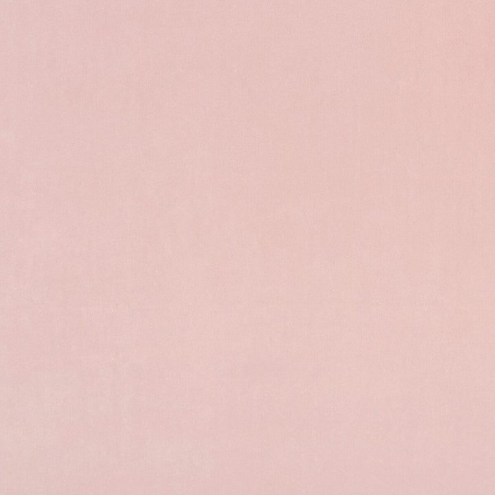 Alvar Petal by Clarke And Clarke Fabric CLARKE & CLARKE ALVAR 2 POLYESTER - 100% China HEAVY Horizontal: 0 and Vertical: 0 56.75 - Fabric Carolina -