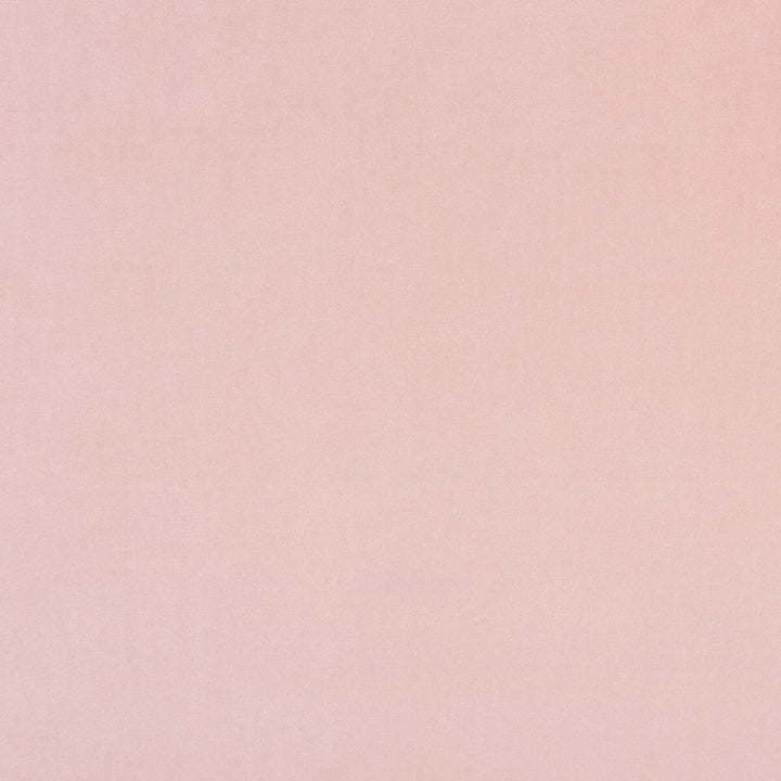 Alvar Petal by Clarke And Clarke Fabric Clarke And Clarke Fabric Alvar PetalFabric CLARKE & CLARKE ALVAR 2 POLYESTER - 100% China </p><p>Repeat: H: 0, V: 0 56.75 - Fabric Carolina -