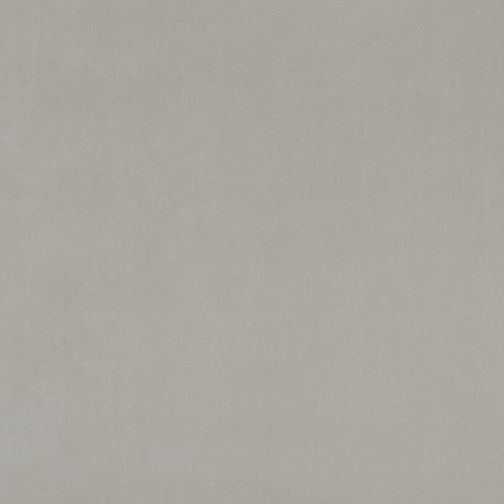 Alvar Roebuck by Clarke And Clarke Fabric CLARKE & CLARKE ALVAR 2 POLYESTER - 100% China HEAVY Horizontal: 0 and Vertical: 0 56.75 - Fabric Carolina -