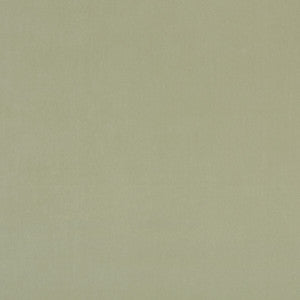 Alvar Thyme by Clarke And Clarke Fabric