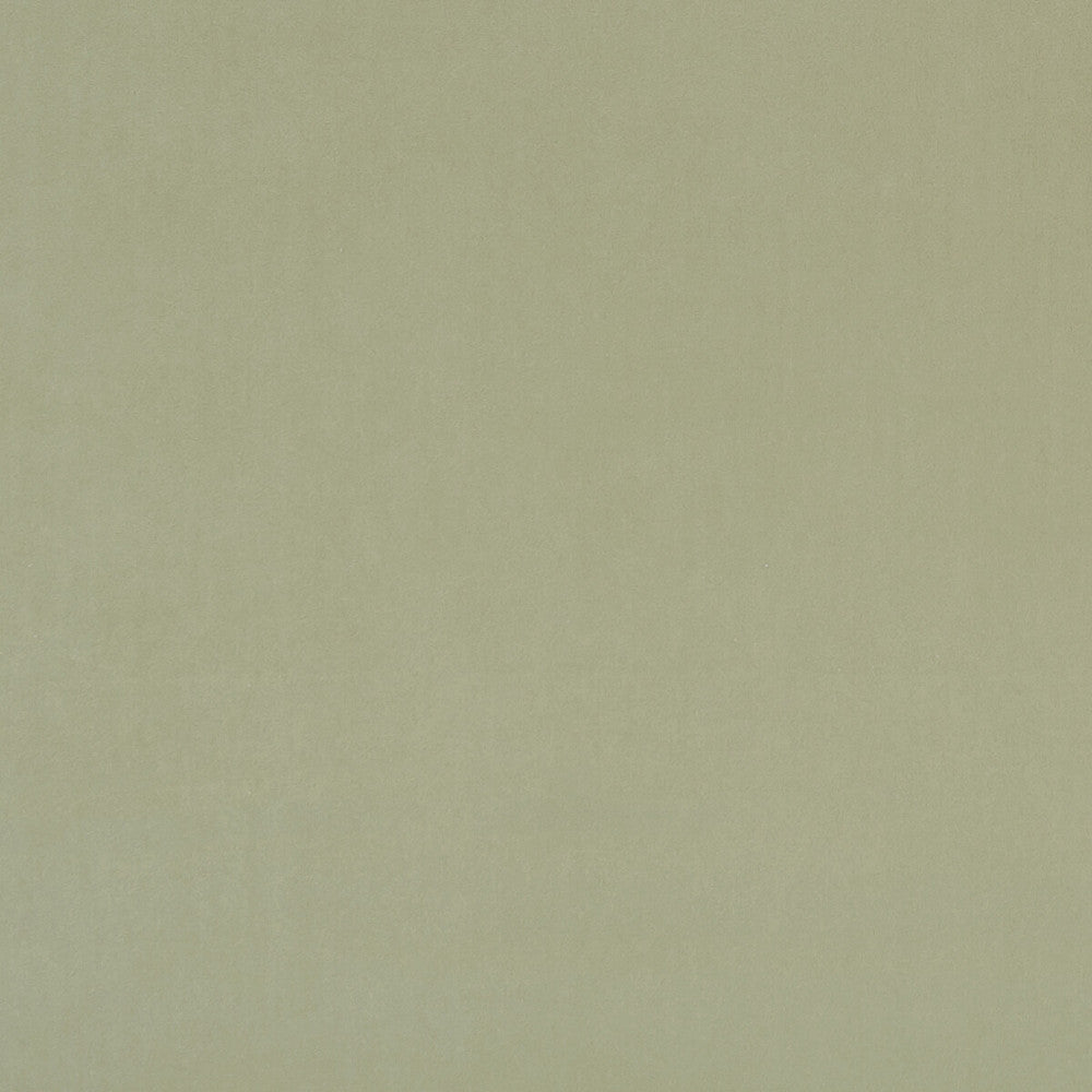 Alvar Thyme by Clarke And Clarke Fabric CLARKE & CLARKE ALVAR 2 POLYESTER - 100% China HEAVY Horizontal: 0 and Vertical: 0 56.75 - Fabric Carolina -