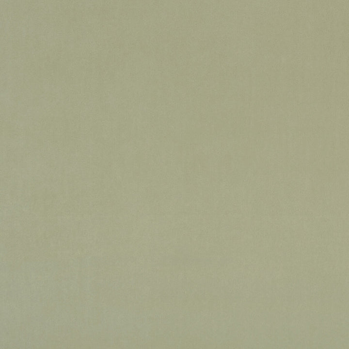 Alvar Thyme by Clarke And Clarke Fabric CLARKE & CLARKE ALVAR 2 POLYESTER - 100% China HEAVY Horizontal: 0 and Vertical: 0 56.75 - Fabric Carolina -