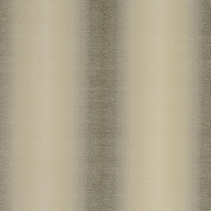 Antico Charcoal by Clarke And Clarke Fabric CLARKE & CLARKE PALLADIO VISCOSE - 42%;POLYESTER - 41%;COTTON - 17% Turkey HEAVY Horizontal: 13.78 and Vertical: 1.18 54 - Fabric Carolina -