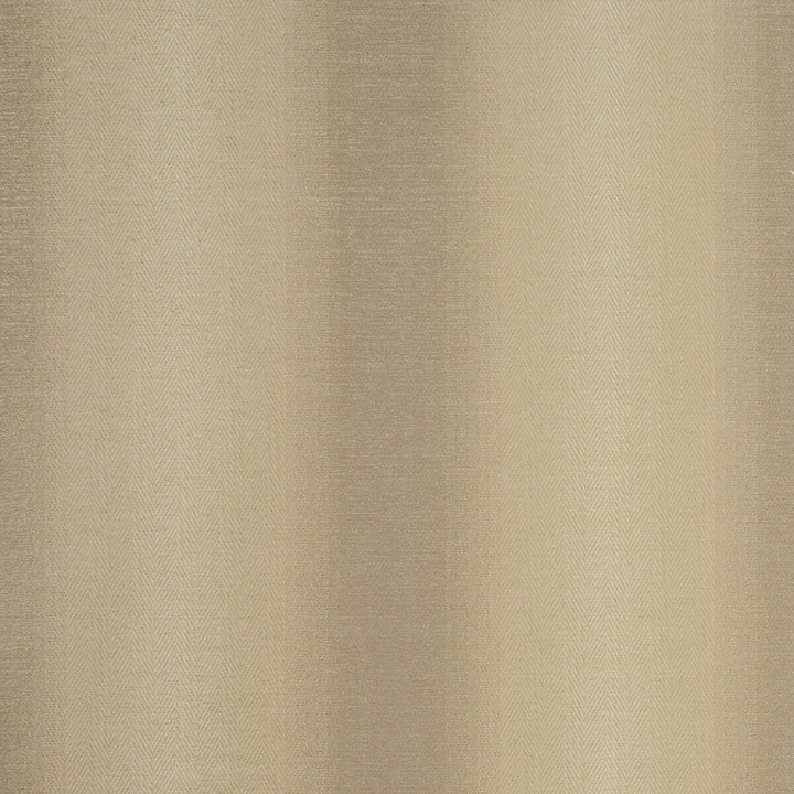 Antico Natural by Clarke And Clarke Fabric CLARKE & CLARKE PALLADIO VISCOSE - 42%;POLYESTER - 41%;COTTON - 17% Turkey HEAVY Horizontal: 13.78 and Vertical: 1.18 54 - Fabric Carolina -