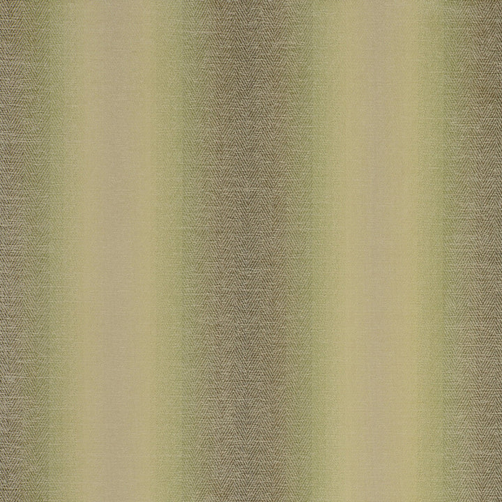 Antico Olive by Clarke And Clarke Fabric Clarke And Clarke Fabric Antico OliveFabric CLARKE & CLARKE PALLADIO VISCOSE - 42%;POLYESTER - 41%;COTTON - 17% Turkey </p><p>Repeat: H: 13.78, V: 1.18 54 - Fabric Carolina -