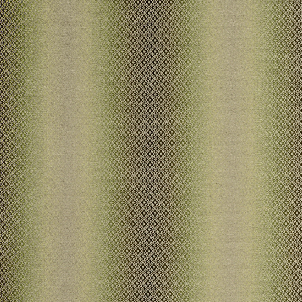Diamante Olive by Clarke And Clarke Fabric CLARKE & CLARKE PALLADIO POLYESTER - 37%;VISCOSE - 36%;COTTON - 18%;LINEN - 9% Turkey HEAVY Horizontal: 13.78 and Vertical: 0.98 54 - Fabric Carolina -