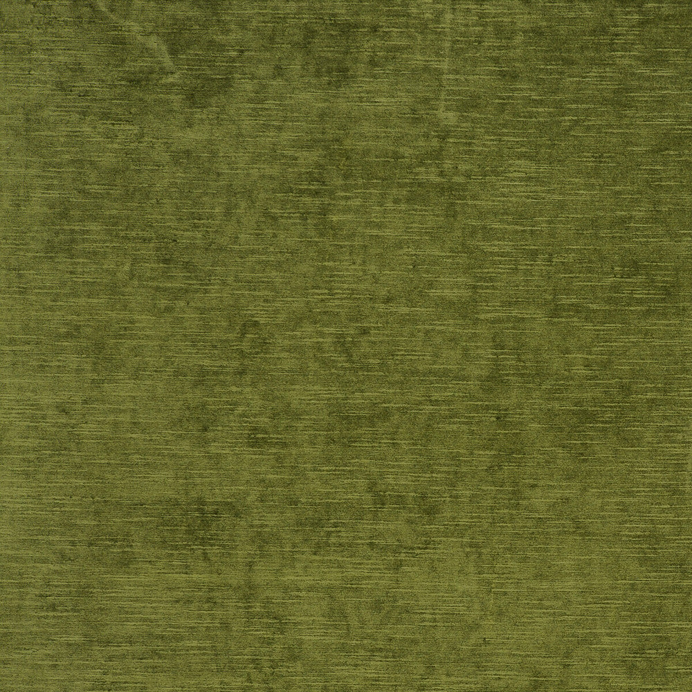 Carlo Olive by Clarke And Clarke Fabric CLARKE & CLARKE PALLADIO VISCOSE - 70%;POLYESTER - 30% Turkey HEAVY Horizontal: 0 and Vertical: 0 54 - Fabric Carolina -