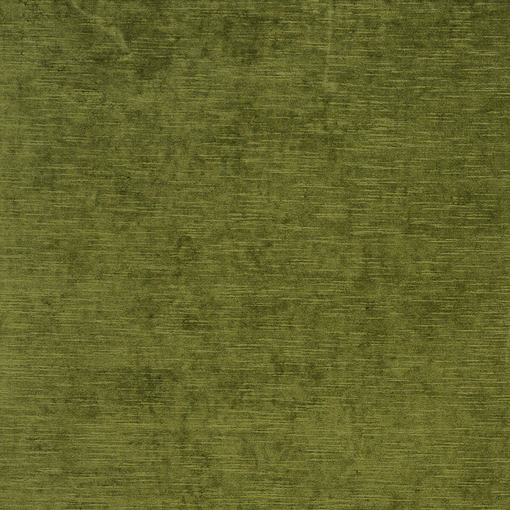 Carlo Olive by Clarke And Clarke Fabric CLARKE & CLARKE PALLADIO VISCOSE - 70%;POLYESTER - 30% Turkey HEAVY Horizontal: 0 and Vertical: 0 54 - Fabric Carolina -