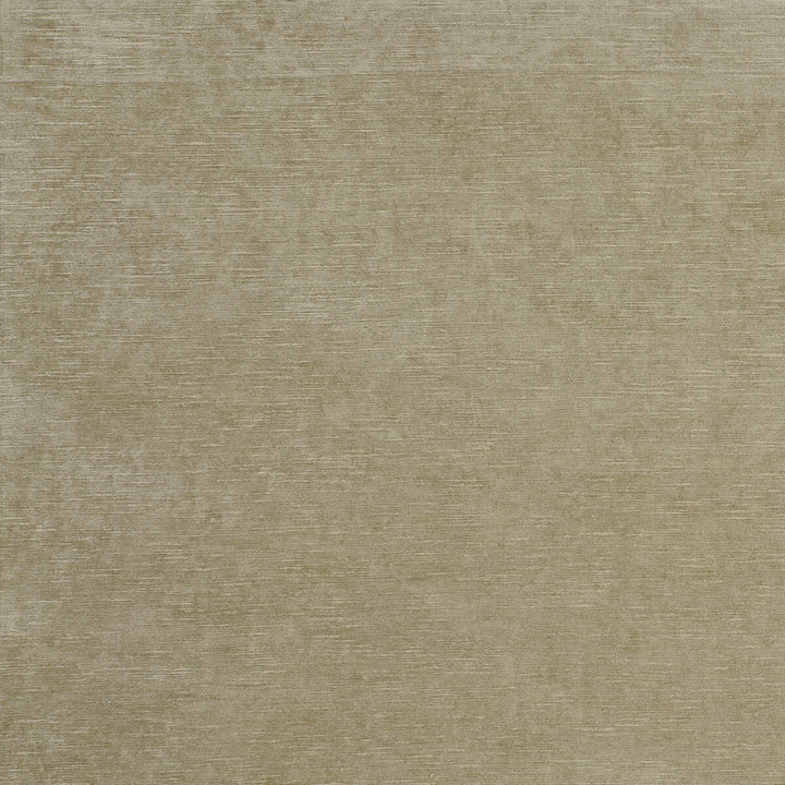 Carlo Taupe by Clarke And Clarke Fabric CLARKE & CLARKE PALLADIO VISCOSE - 70%;POLYESTER - 30% Turkey HEAVY Horizontal: 0 and Vertical: 0 54 - Fabric Carolina -