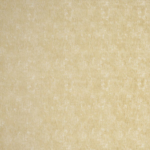 Nesa Antique by Clarke And Clarke Fabric