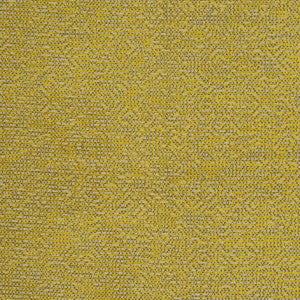 Beauvoir Citrus by Clarke And Clarke Fabric