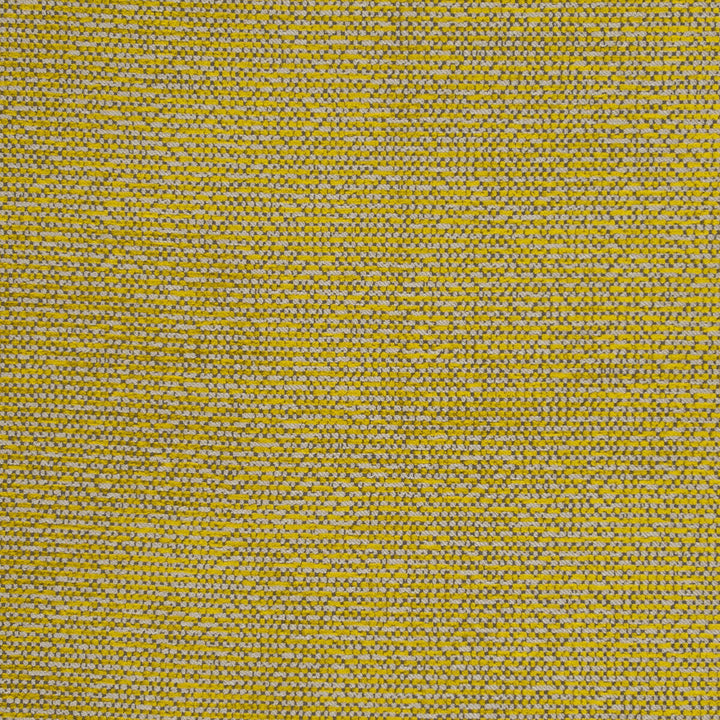 Beauvoir Citrus by Clarke And Clarke Designer Fabric CLARKE & CLARKE LATOUR POLYESTER - 60%;VISCOSE - 35%;COTTON - 5% Turkey HEAVY Horizontal: 13.58 and Vertical: 19.29 56 - Swanky Fabrics -