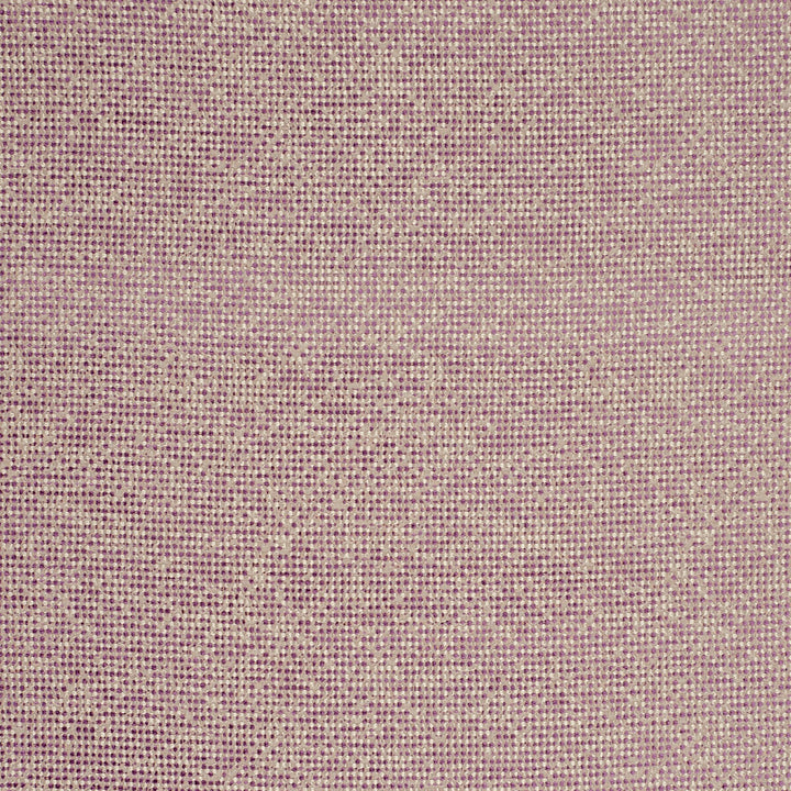 Beauvoir Orchid by Clarke And Clarke Fabric CLARKE & CLARKE LATOUR POLYESTER - 60%;VISCOSE - 35%;COTTON - 5% Turkey HEAVY Horizontal: 13.58 and Vertical: 19.29 56 - Fabric Carolina -