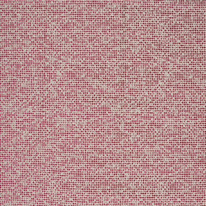 Beauvoir Passion by Clarke And Clarke Fabric CLARKE & CLARKE LATOUR POLYESTER - 60%;VISCOSE - 35%;COTTON - 5% Turkey HEAVY Horizontal: 13.58 and Vertical: 19.29 56 - Fabric Carolina -