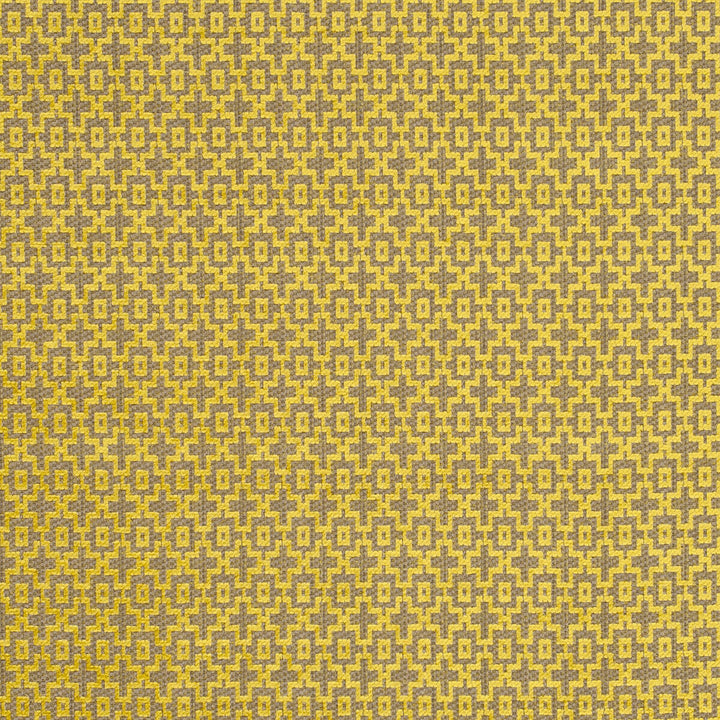 Mansour Citrus by Clarke And Clarke Designer Fabric CLARKE & CLARKE LATOUR VISCOSE - 70%;COTTON - 30% Turkey HEAVY Horizontal: 1.14 and Vertical: 1.61 56 - Swanky Fabrics -