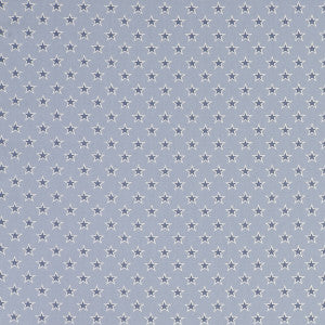 Shooting Stars Stars Chambray by Clarke And Clarke Fabric
