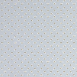 Shooting Stars Stars Sky by Clarke And Clarke Fabric