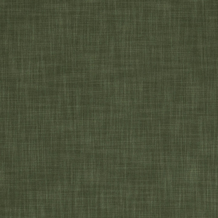 Vienna Olive by Clarke And Clarke Fabric CLARKE & CLARKE VIENNA POLYESTER - 90%;LINEN - 10% China HEAVY Horizontal: 0 and Vertical: 0 55 - Fabric Carolina -