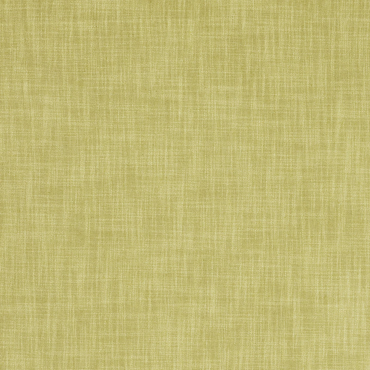 F0847 29 Vienna Sage by Clarke and Clarke Fabric CLARKE & CLARKE POLYESTER - 90%;LINEN - 10% China HEAVY Horizontal: 0 and Vertical: 0 55  - Fabric Carolina -
