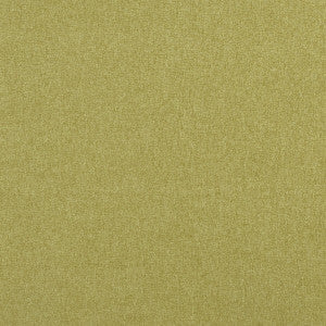 Highlander Fern by Clarke And Clarke Fabric