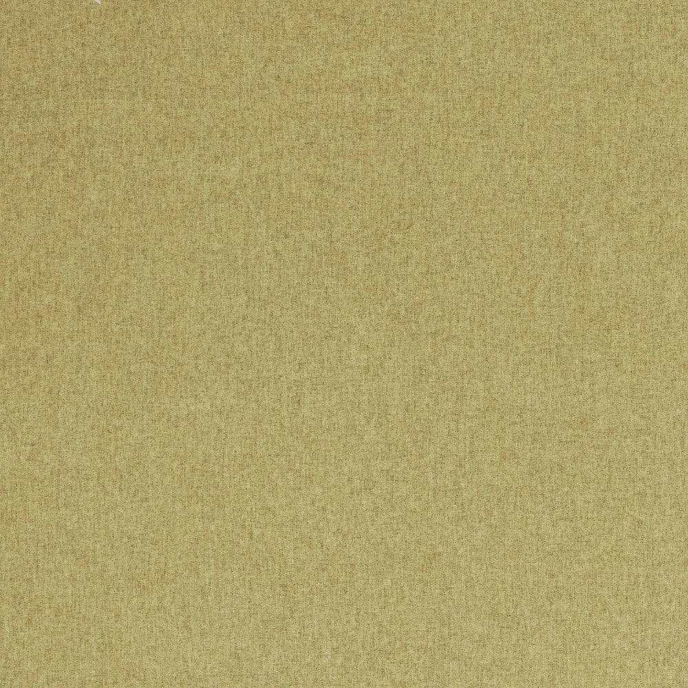 F0848 12 Highlander Fern by Clarke and Clarke Fabric CLARKE & CLARKE POLYESTER - 100% China HEAVY Horizontal: 0 and Vertical: 0 57  - Fabric Carolina -