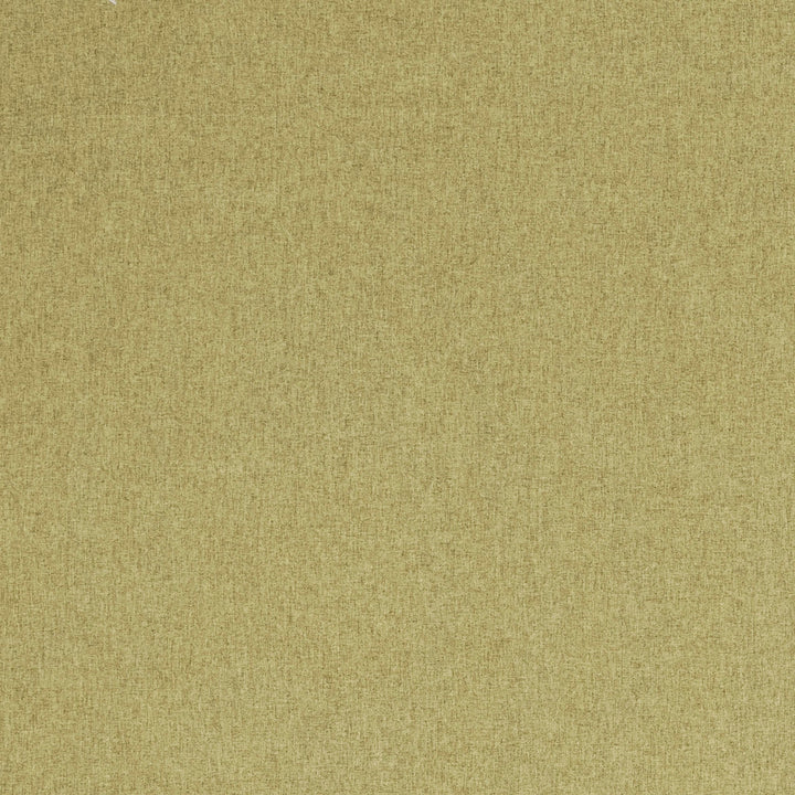 F0848 12 Highlander Fern by Clarke and Clarke Fabric CLARKE & CLARKE POLYESTER - 100% China HEAVY Horizontal: 0 and Vertical: 0 57  - Fabric Carolina -