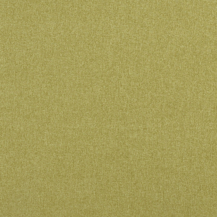 Highlander Fern by Clarke And Clarke Fabric Clarke And Clarke Fabric Highlander FernFabric CLARKE & CLARKE HIGHLANDER POLYESTER - 100% China </p><p>Repeat: H: 0, V: 0 57 - Fabric Carolina -