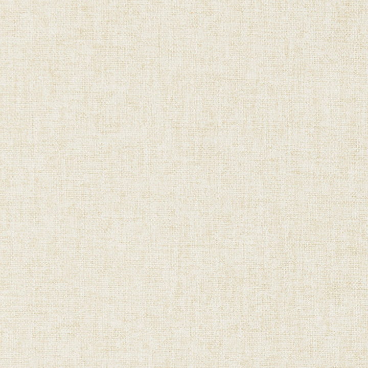 F0848 16 Highlander Ivory by Clarke and Clarke Fabric CLARKE & CLARKE POLYESTER - 100% China HEAVY Horizontal: 0 and Vertical: 0 57  - Fabric Carolina -