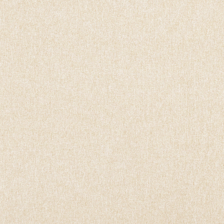 Highlander Natural by Clarke And Clarke Fabric CLARKE & CLARKE HIGHLANDER POLYESTER - 100% China HEAVY Horizontal: 0 and Vertical: 0 57 - Fabric Carolina -