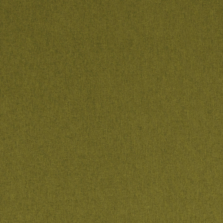 F0848 22 Highlander Olive by Clarke and Clarke Fabric CLARKE & CLARKE POLYESTER - 100% China HEAVY Horizontal: 0 and Vertical: 0 57  - Fabric Carolina -