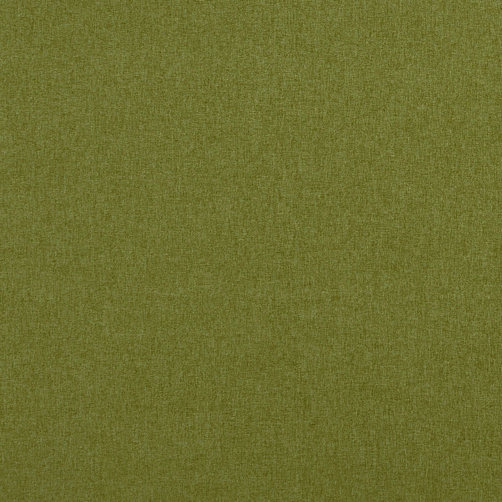 Highlander Olive by Clarke And Clarke Fabric CLARKE & CLARKE HIGHLANDER POLYESTER - 100% China HEAVY Horizontal: 0 and Vertical: 0 57 - Fabric Carolina -