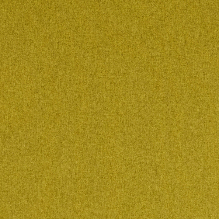 F0848 24 Highlander Palm by Clarke and Clarke Fabric CLARKE & CLARKE POLYESTER - 100% China HEAVY Horizontal: 0 and Vertical: 0 57  - Fabric Carolina -