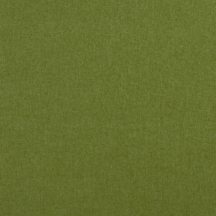 Highlander Amazon by Clarke And Clarke Fabric CLARKE & CLARKE HIGHLANDER 2 POLYESTER - 100% China HEAVY Horizontal: 0 and Vertical: 0 57 - Fabric Carolina -