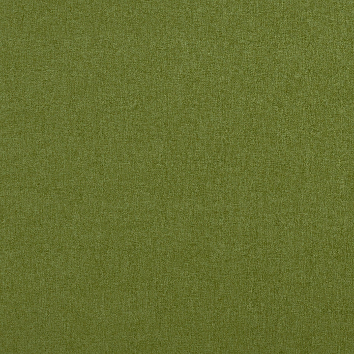 Highlander Amazon by Clarke And Clarke Designer Fabric CLARKE & CLARKE HIGHLANDER 2 POLYESTER - 100% China HEAVY Horizontal: 0 and Vertical: 0 57 - Swanky Fabrics -