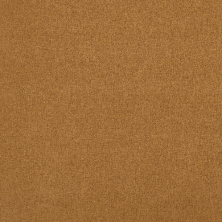 Highlander Cinnamon by Clarke And Clarke Fabric CLARKE & CLARKE HIGHLANDER 2 POLYESTER - 100% China HEAVY Horizontal: 0 and Vertical: 0 57 - Fabric Carolina -