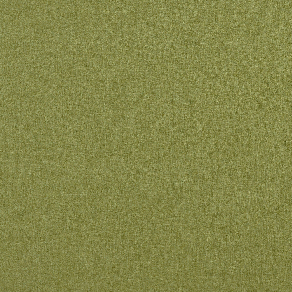 Highlander Leaf by Clarke And Clarke Fabric CLARKE & CLARKE HIGHLANDER 2 POLYESTER - 100% China HEAVY Horizontal: 0 and Vertical: 0 57 - Fabric Carolina -