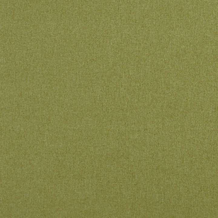 Highlander Leaf by Clarke And Clarke Fabric CLARKE & CLARKE HIGHLANDER 2 POLYESTER - 100% China HEAVY Horizontal: 0 and Vertical: 0 57 - Fabric Carolina -