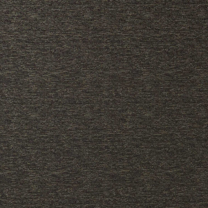 Lucania Ebony by Clarke And Clarke Fabric CLARKE & CLARKE IMPERIALE NYLON - 33%;POLYESTER - 25%;COTTON - 23%;WOOL - 11% India HEAVY Horizontal: 0 and Vertical: 0 55 - Fabric Carolina -