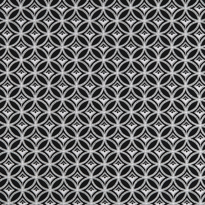 Bw1009 Black/White by Clarke And Clarke Designer Fabric CLARKE & CLARKE BLACK + WHITE COTTON - 25%;LINEN - 25%;POLYESTER - 25%;VISCOSE - 25% India Horizontal: 3.25 and Vertical: 3 55 - Swanky Fabrics -