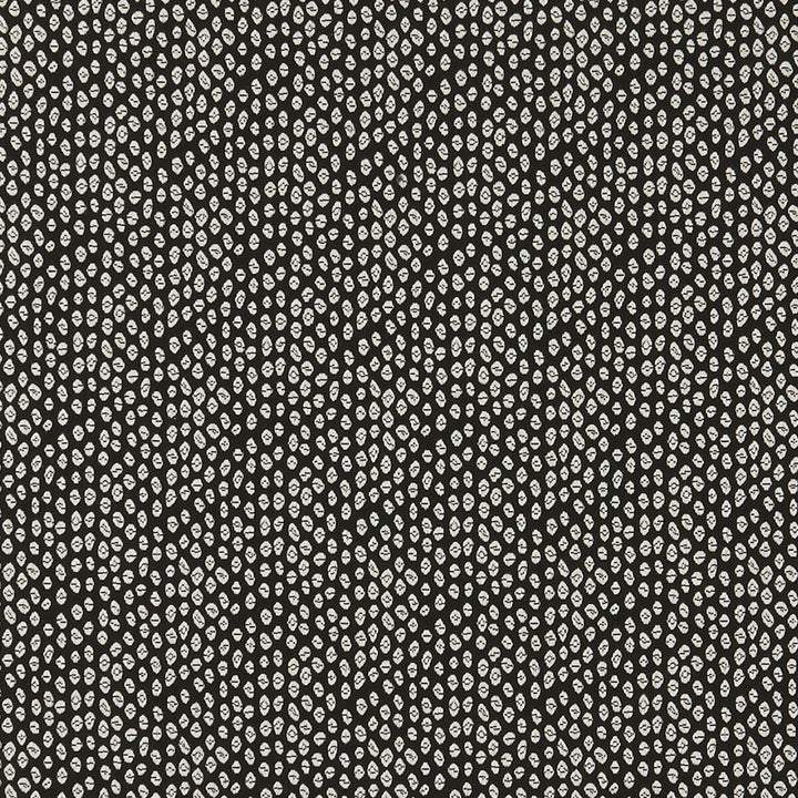 Bw1015 Black/White by Clarke And Clarke Fabric CLARKE & CLARKE BLACK + WHITE VISCOSE - 83%;COTTON - 12%;NYLON - 5% Morocco MEDIUM Horizontal: 3.46 and Vertical: 3.31 55 - Fabric Carolina -