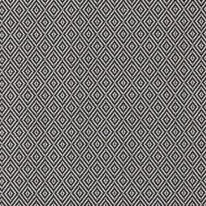 Bw1025 Black/White by Clarke And Clarke Fabric