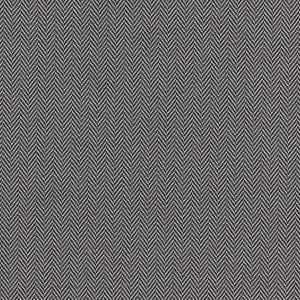 Bw1026 Black/White by Clarke And Clarke Fabric
