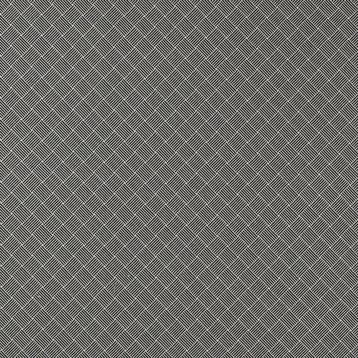 Bw1031 Black/White by Clarke And Clarke Designer Fabric CLARKE & CLARKE BLACK + WHITE COTTON - 78%;POLYESTER - 22% Italy HEAVY Horizontal: 1.38 and Vertical: 1.5 55 - Swanky Fabrics -