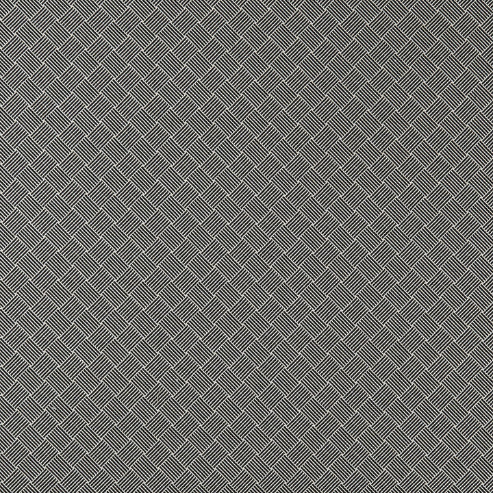 Bw1031 Black/White by Clarke And Clarke Fabric CLARKE & CLARKE BLACK + WHITE COTTON - 78%;POLYESTER - 22% Italy HEAVY Horizontal: 1.38 and Vertical: 1.5 55 - Fabric Carolina -