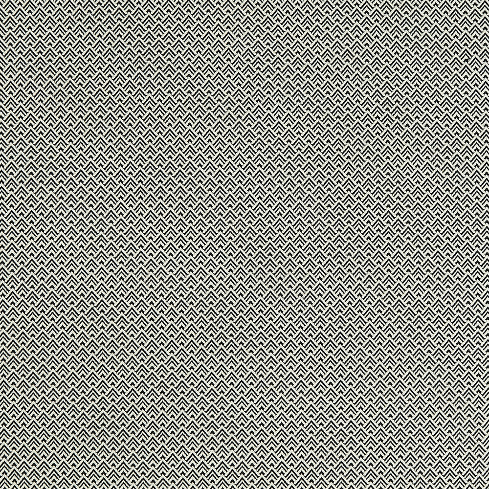 Bw1032 Black/White by Clarke And Clarke Fabric CLARKE & CLARKE BLACK + WHITE VISCOSE - 58%;POLYESTER - 23%;COTTON - 19% Italy HEAVY Horizontal: 0.67 and Vertical: 0.55 55 - Fabric Carolina -