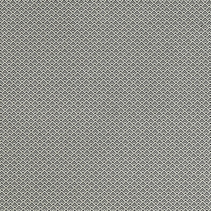 Bw1032 Black/White by Clarke And Clarke Fabric CLARKE & CLARKE BLACK + WHITE VISCOSE - 58%;POLYESTER - 23%;COTTON - 19% Italy HEAVY Horizontal: 0.67 and Vertical: 0.55 55 - Fabric Carolina -