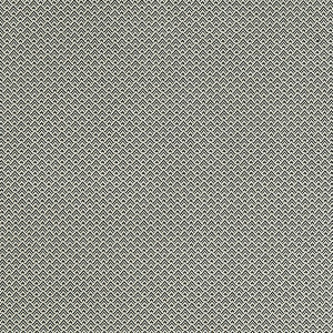 Bw1032 Black/White by Clarke And Clarke Fabric