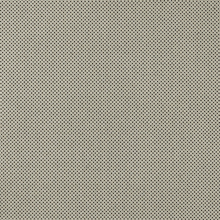 Bw1033 Black/White by Clarke And Clarke Fabric CLARKE & CLARKE BLACK + WHITE VISCOSE - 58%;POLYESTER - 23%;COTTON - 19% Italy HEAVY Horizontal: 0.28 and Vertical: 0.31 55 - Fabric Carolina -