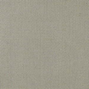 Bw1033 Black/White by Clarke And Clarke Fabric
